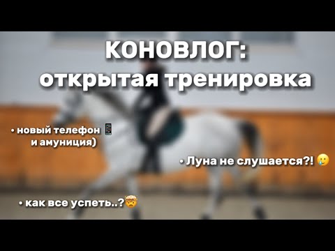 Видео: КОНОВЛОГ: 2 дня на конюшне с кобылой 🩶