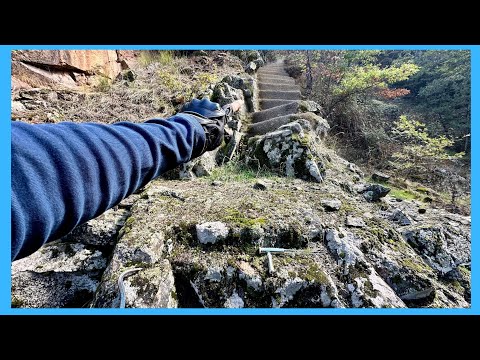 Видео: Медная чаша, наполненная золотыми монетами...