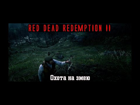 Видео: Red Dead Redemption II. Серия 255. Охота на змею (Глава 5. Гуарма)