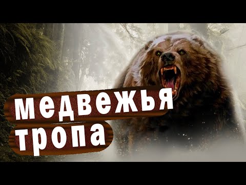 Видео: 💥/МЕДВЕЖЬЯ ТРОПА/ Как не пытайся, а от судьбы не убежишь//