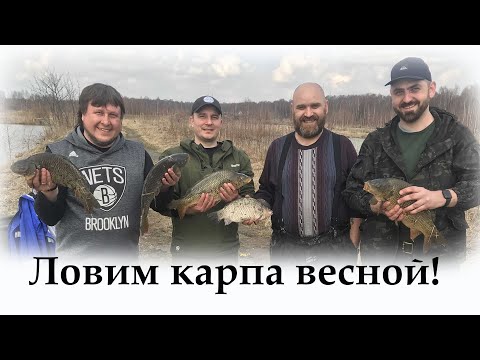 Видео: Ловим карпа весной! Рыбалка на Серегиных Озерах! Клюет как из пулемета ))