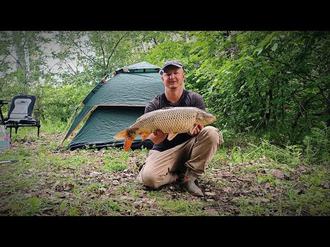 Видео: РЫБАЛКА О КОТОРОЙ МЕЧТАЕШЬ.....