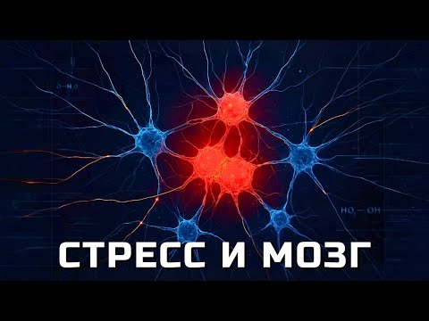 Видео: Стресс изменил ваш мозг. Вот как это исправить