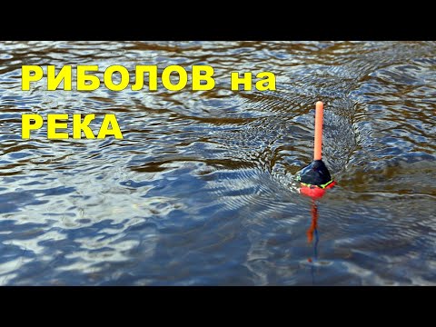 Видео: ПРЪСНАХМЕ ТУПАЛКИТЕ - ЖЕСТОКА БОРБА с РЕЧНИ ЗВЕРОВЕ - АВАНСИ, КЪСАНИЯ и ЯК БОЙ