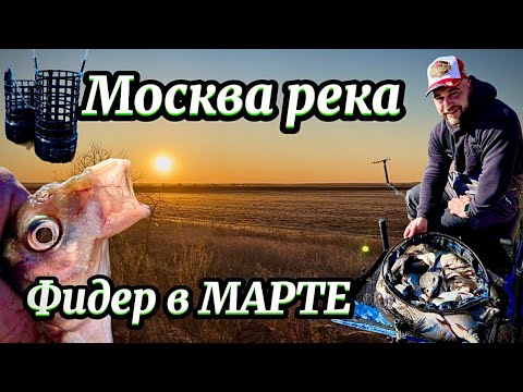 Видео: Фидер на Москва реке в марте . Ловля по низкой воде #рыбалка #рыбалканафидер