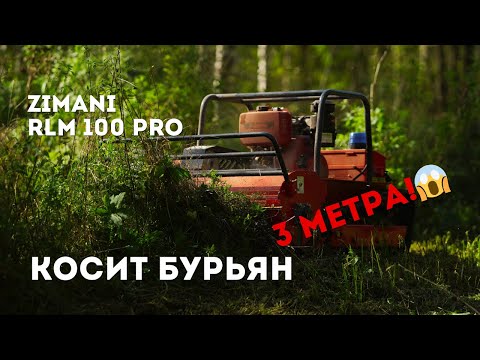 Видео: Косит бурьян высотой 3 метра! ZimAni RLM 100 PRO