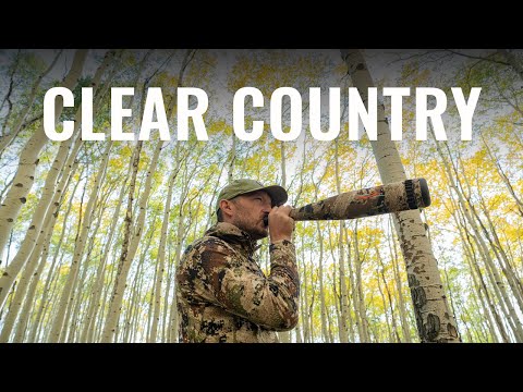 Видео: ЧИСТАЯ СТРАНА — охота на лося с луком