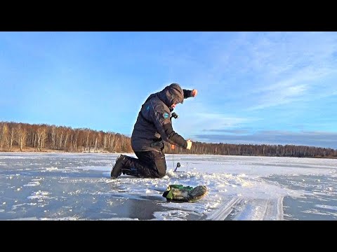 Видео: ПЕРВЫЙ ЛЁД НА ЗАБРОШЕННОМ ОЗЕРЕ у ПОКИНУТОЙ ДЕРЕВНИ. РЫБАЛКА НА ЖЕРЛИЦЫ.