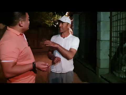 Видео: Гена агамыз Шамалган