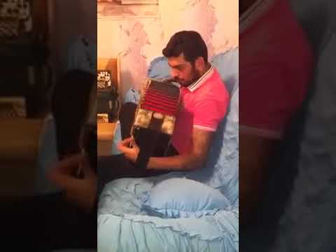 Видео: цыган виртуозно жгет на гармошке Коля Калыш