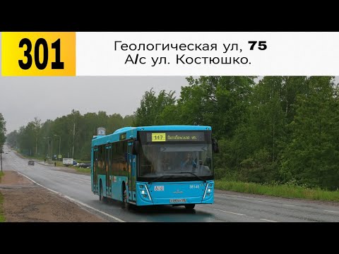 Видео: Автобус 301 "Красное Село, Геологическая ул, 75.  - А/с. ул. Костюшко"