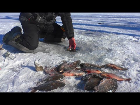 Видео: ОЦЕ ТАК ПОПАВ НА РОЗДАЧУ!!! Рибалка на Карася. Ловля карася.