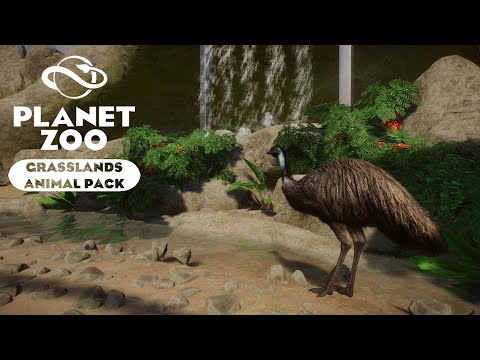 Видео: Planet Zoo: Grasslands Animal Pack   Эму
