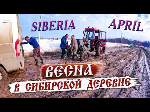 Видео: 420. Жёсткая распутица и неповторимая красота Сибирской деревни. Деревня Окунево Омская область.