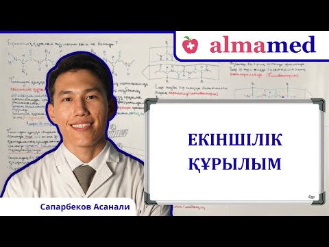 Видео: Екіншілік құрылым