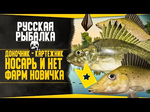 Видео: Путь доночника-картежника! в РР4 #5 💥 Ерш носатый и Обычный | Заработок Серебра! |Русская Рыбалка 4
