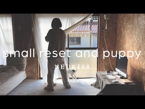 Видео: Влог / Небольшой сброс, чтобы сделать мою комнату уютной.