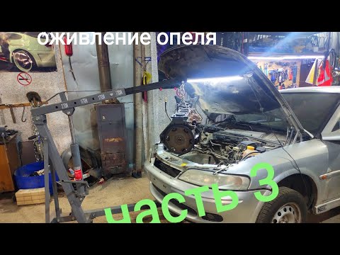 Видео: универсальный мастер💪 из диагноста в мотористы😁 капитальный ремонт мотора опель вектра б