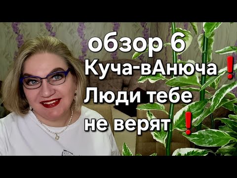 Видео: Куча-вАнюча❗️Люди тебе не верят❗️