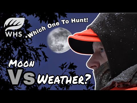 Видео: Луна и погода | Лучшее для прогнозирования движения оленей
