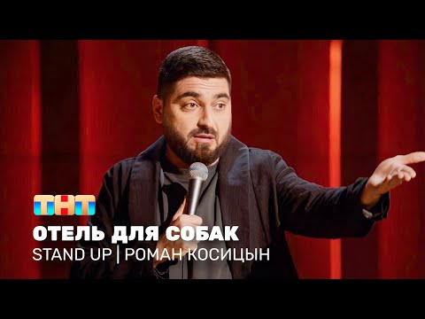 Видео: Stand Up: Роман Косицын - отель для собак @standup_tnt