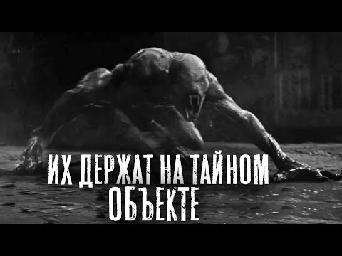 Видео: ОБЪЕКТ - Страшные истории на ночь. Страшилки на ночь