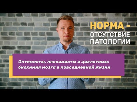 Видео: Живу с акцентом: пессимисты, оптимисты и «недо-биполярники». (#4)