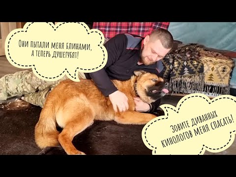 Видео: Снова Пёс и пылесос! Ломаем психику собаченьки блинами! Кубик не согласен на ружу! Во имя Хайпа!