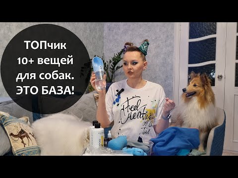 Видео: ТОП 10+ вещей для собак без которых я не смогу |