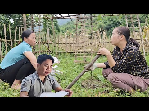 Видео: Невестка СОМ не решается рассказать ему секрет, который все от нее скрывают.