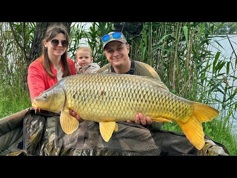 Видео: Сімейна риболовля на озері! Експериментуємо з прикормкою на Флет-Фідер. Короп не дає відпочити.