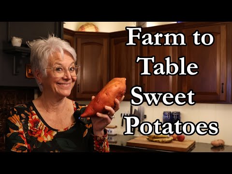 Видео: Домашний батат | Собирайте, храните и готовьте прямо с фермы. Вкусный картофель фри из батата.