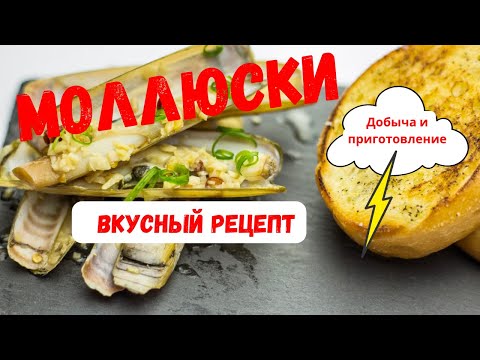 Видео: ДОБЫЧА И РЕЦЕПТ ПРИГОТОВЛЕНИЯ МОЛЛЮСКОВ! ТИХИЙ ОКЕАН, ЗАПАД АМЕРИКИ 🇺🇸