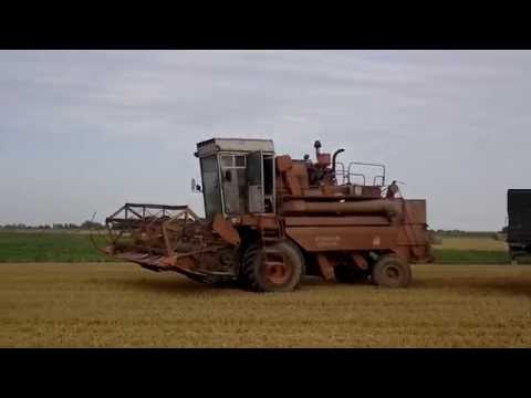 Видео: енисей 1200 н пшеница 8 т/га ,wheat 8t / ha, kvieši 8t/ha
