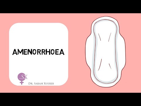 Видео: Аменорея