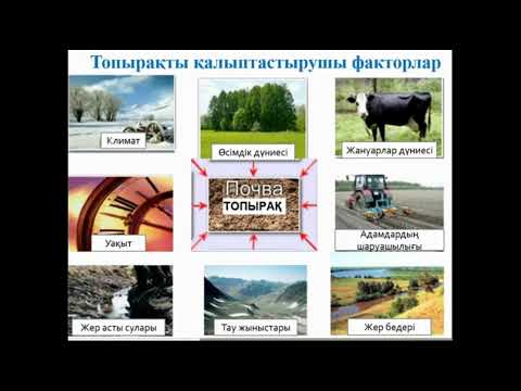 Видео: Топырақ құрамы