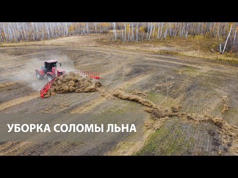 Видео: Убираем солому льна с поля. Бороной СоломМастер и Волокушой от компании Willock Farm