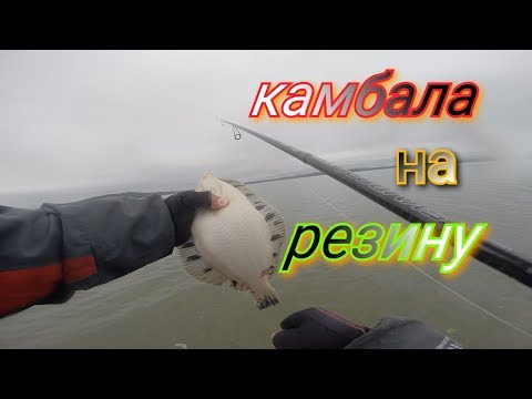 Видео: Камбала с берега на резину от Батона!