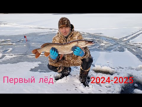 Видео: ПЕРВЫЙ ЛЁД 24-25 ОТКРЫТ . ЖЕРЛИЦЫ ГОРЯТ ГОРБАЧ ЛОВИТСЯ