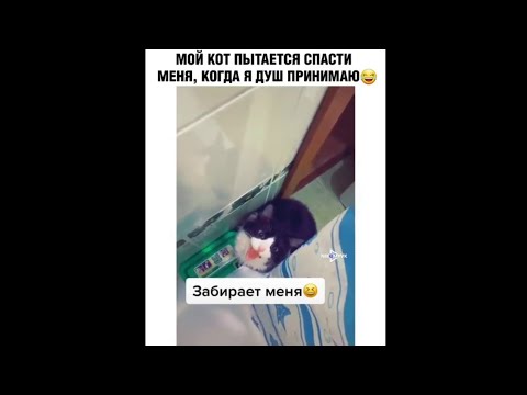 Видео: ЛУЧШИЕ ПРИКОЛЫ СМЕШНЫЕ ВИДЕО ИЗ ИНСТАГРАМ. Подборка из соцсетей 2020 #10