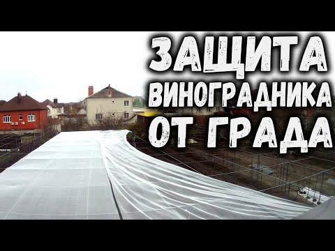 Видео: Защита виноградника от града!