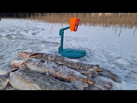 Видео: ПОПАЛ НА ТРОПУ ЩУК!!ЗИМНЯЯ РЫБАЛКА НА ЖЕРЛИЦЫ.РЫБАЛКА В ЛАТГАЛИИ.