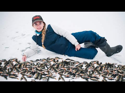 Видео: 200Окуней! Первый ЛЕД ! БАТЛ МС по ФИДЕРУ vs МС по мормышке!!!