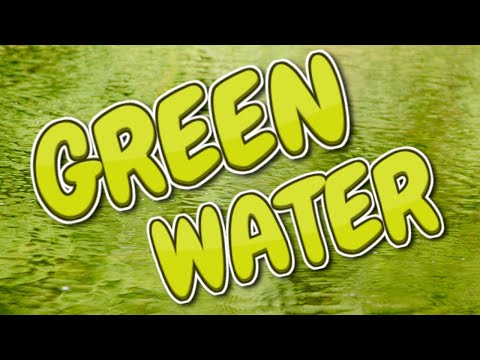 Видео: Почему вода в моём пруду зелёная? Полное руководство