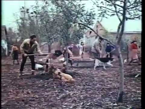 Видео: Я на земле моей ( фильм о селе Камлюко)