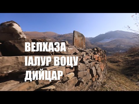 Видео: ВЕЛХАЗА IАЛУР ВОЦУ ДИЙЦАР \ ЧАЙРА \ НОХЧО КХЕТАР ВУ