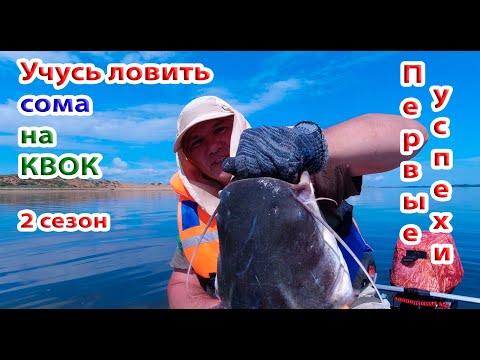 Видео: Учусь ловить сома на квок. Первые успехи - первые сомы. Руки трясутся от поклевок. Мой видеодневник.