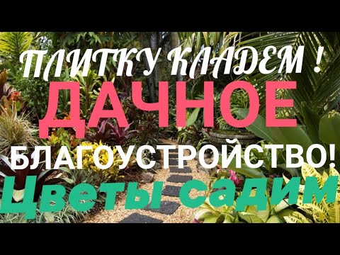 Видео: ДАЧНОЕ БЛАГОУСТРОЙСТВО ! РАБОТАЕМ-ПЛИТКУ КЛАДЕМ , ЦВЕТЫ САДИМ!