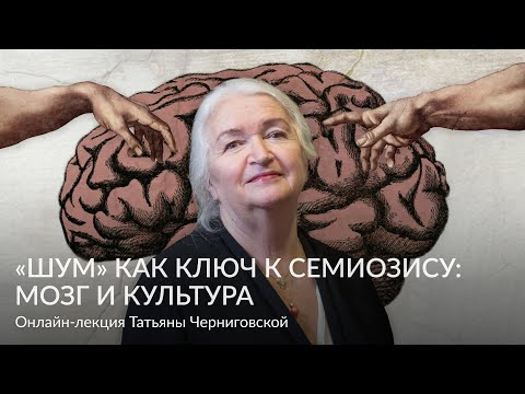 Видео: «Шум» как ключ к семиозису: мозг и культура – Онлайн лекция Татьяны Черниговской   HD 1080p