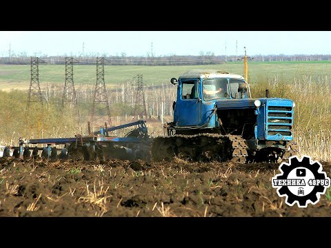 Видео: Трактор ДТ-75М. Просто видео работы старичка с дисковой бороной